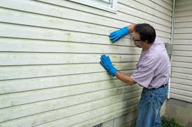 Best Siding Painting and Refinishing  in Cherry Grove, OH